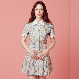 Samantha Pleet Floral Mini Dress